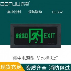 广东东君照明防水标志灯消防应急智能疏散指示IP54钢化玻璃A型36V集中控制DJ-01P