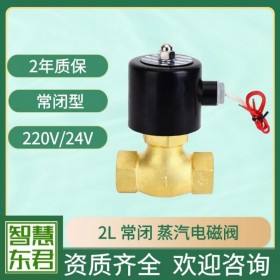 2L蒸汽电磁阀活塞式蒸汽电磁阀2L170-10/15耐高温全铜锅炉热水180度