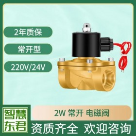 2W常开电磁阀黄铜电磁阀AC220V全铜线圈DC24V丝扣螺纹连接
