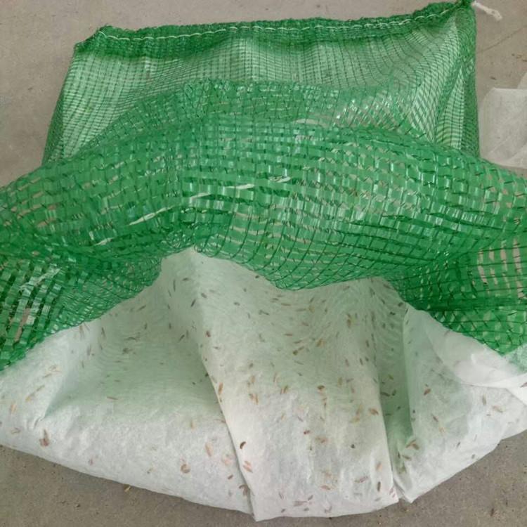 成都直供边坡绿化植生袋公路护坡植草袋矿山复绿生态网眼植生网