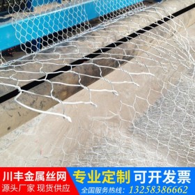 铁丝网 低碳钢丝防护网镀锌抹墙电焊网建筑防裂金属丝网