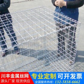 格宾石笼网 河道专用堤坡治理防汛防洪隧道防护镀锌丝 石笼网箱