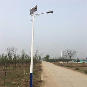 海螺臂太阳能路灯杆 新农村道路灯供应 厂家批发