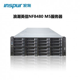 浪潮（INSPUR）NF8480M5 4U机架服务器5218*2/2*32G/600G SAS 2.5/RS0820P/1000M*4/2*800W/导轨