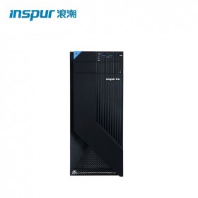浪潮（INSPUR）NP3020M5塔式服务器主机 至强四核E-2224/16G内存/2T SATA硬盘