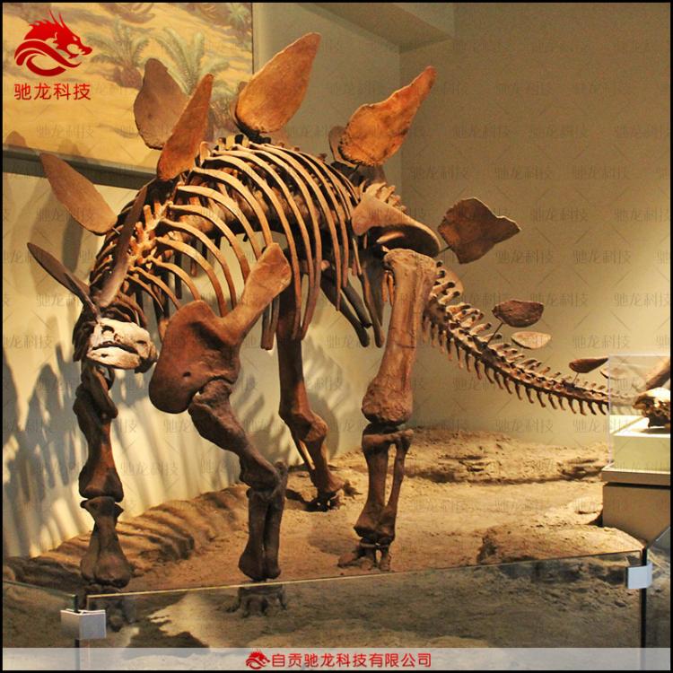 剑龙仿真骨架化石大型仿真恐龙骨架模型仿真古生物骨架化石模型制作厂家