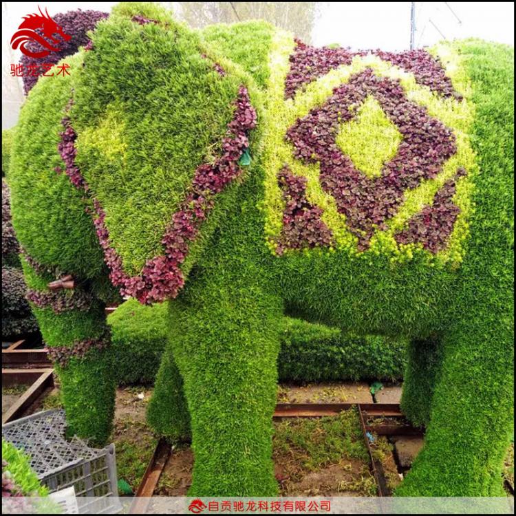 动物大象五色草景观雕塑公园楼盘美陈绿雕定制植物墙立体造型花坛定做