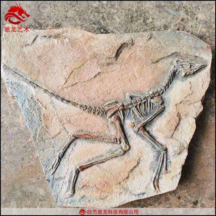 霸王龙中国龙鸟始祖鸟玻璃钢骨架化石埋藏挖掘现场儿童沙坑恐龙