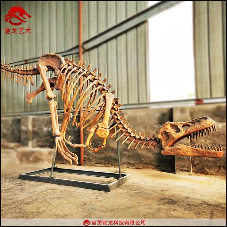 23456789米霸王龙骨架模型仿真恐龙化石玻璃钢树脂生物骨架标本