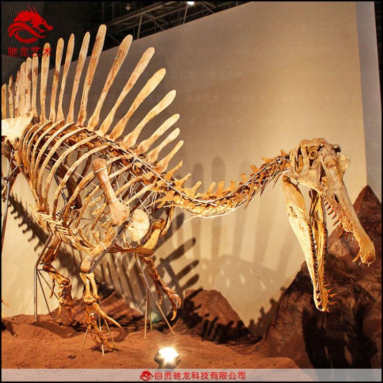 仿真棘背龙骨架化石8米大型生物骨架科普模型定制博物馆美陈展品