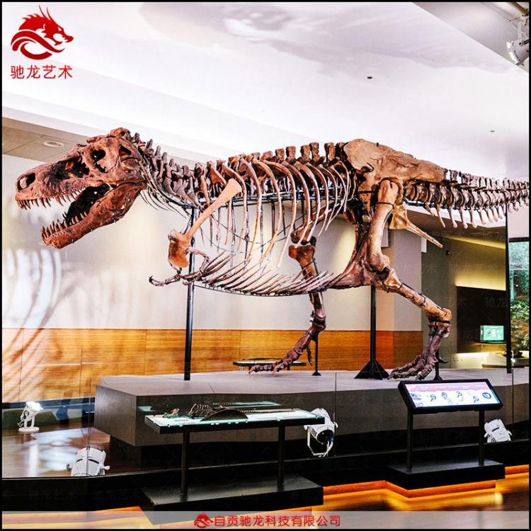 仿真霸王龙牛龙化石长9 8 6 5 3.5米博物馆科普展恐龙骨架化石制作公司