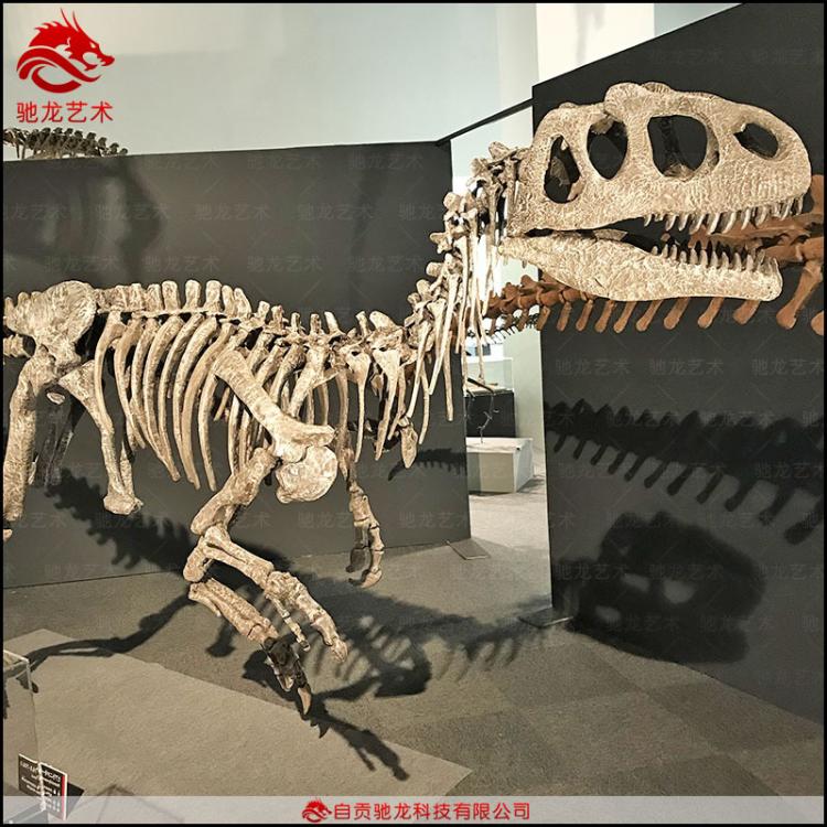 仿真单脊龙化石 长6 5 4 3 2.5米恐龙玻璃钢骨架博物馆展览骨架模型制作