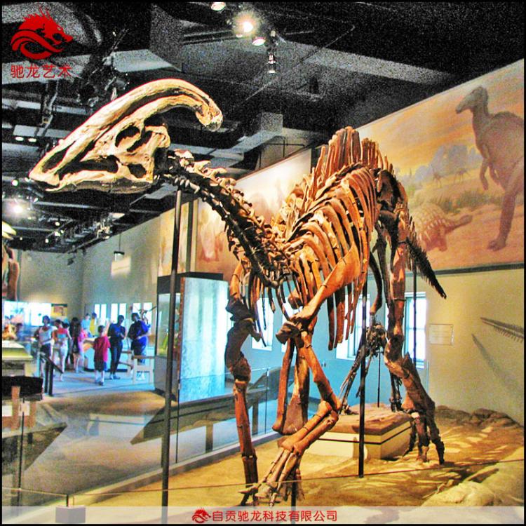 仿真副栉龙骨架化石5米古生物骨架科普模型定制博物馆美陈展品公司