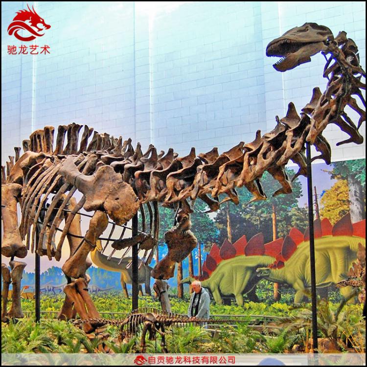 仿真雷龙梁龙化石长18 16 10 8 5米大型恐龙骨架化石商场美陈展品公司