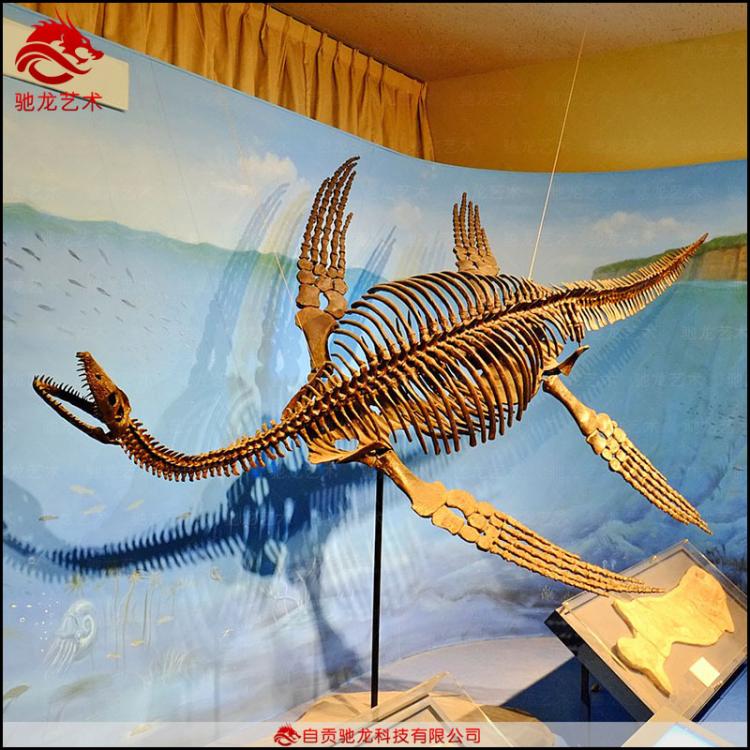 仿真蛇颈龙鱼龙骨架化石5米大型古生物骨架模型定制恐龙古生物化石骨架模型厂家