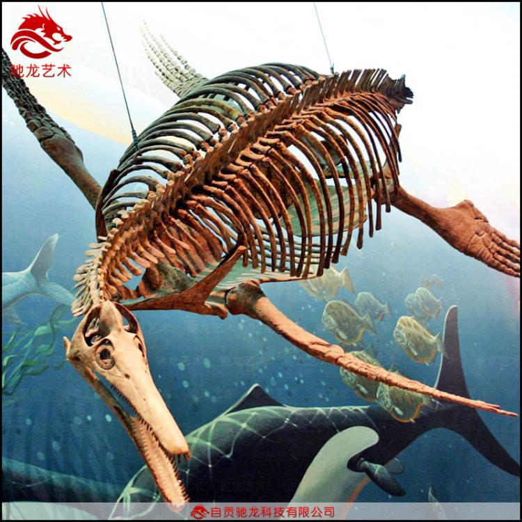 蛇颈龙鱼龙骨架化石仿真恐龙古生物玻璃钢化石树脂动物骨架标本公司