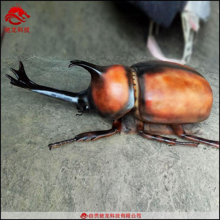 仿真独角仙雕塑模型科普展览道金龟子甲虫玻璃钢雕塑公司