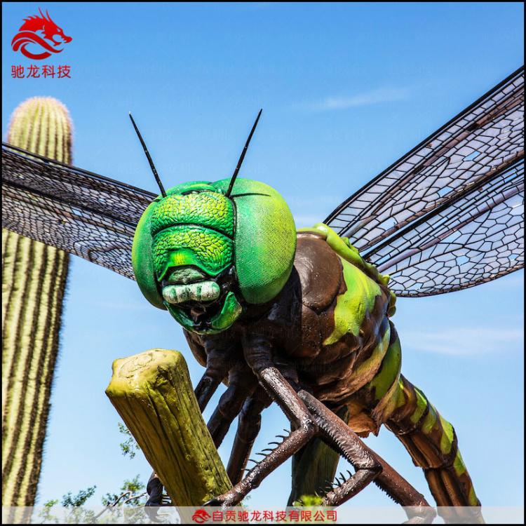 仿真昆虫模型大型蜻蜓雕塑机械橡胶昆虫模型科普展览生物机模装置公司