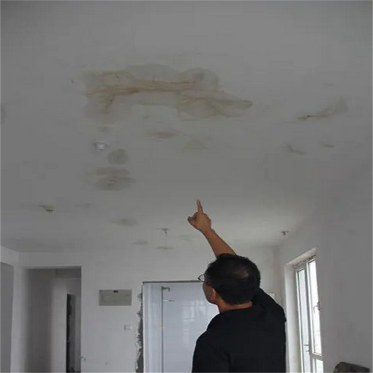 房屋漏水检测 自建房漏水鉴定公司 安全检测机构