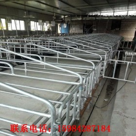 母猪限位栏厂家 全复合定位栏母猪限位栏 保育床限位栏 品质供应 多种型号可定制