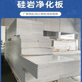 净化硅岩板 建筑施工墙板手工净化板材料 创洁思科技