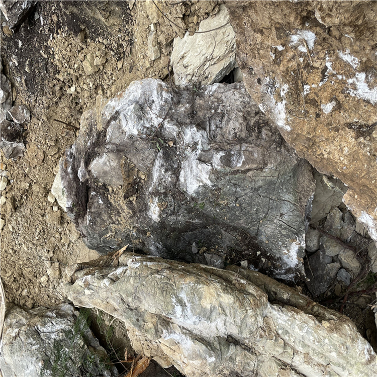 点金园林自然石供应厂家 大型假山石龟纹石 石材质量高