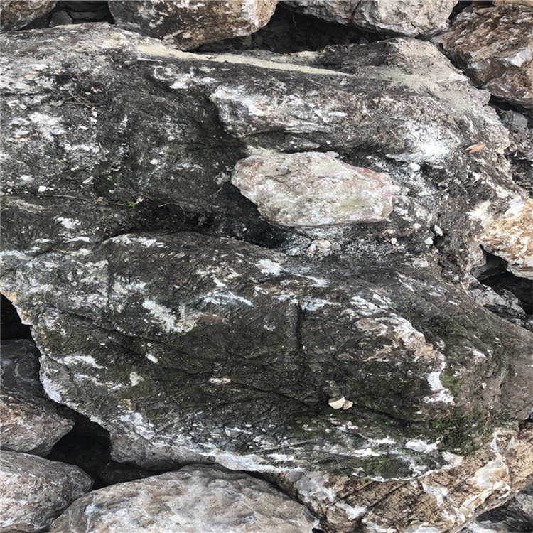 揭阳假山石供应 龟纹石石质硬度 裂纹纵横_点金园林景观石供应