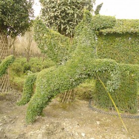 小叶女贞动物造型 十二生肖植物编织造型 植物做的大象 植物编织的长颈鹿 植物编织的马的造型