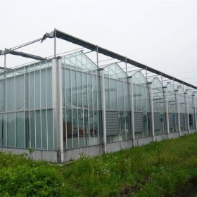 德农川建造各种类型温室大棚 蔬菜 农用养殖大棚 防虫遮阳 免费设计
