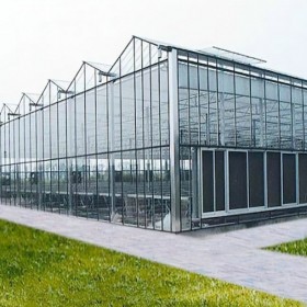 德农川定制智能化蔬菜种植玻璃温室 保温效果好