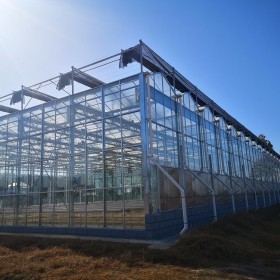 德农川建造镀锌钢管温室大棚 尖顶耐用型蔬菜大棚