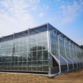 玻璃温室大棚搭建 采光好 通风蔬菜种植大棚