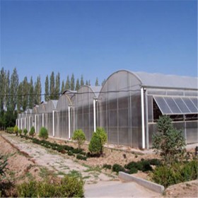 单栋薄膜温室大棚 搭建蔬菜种植保温大棚 德农川建造