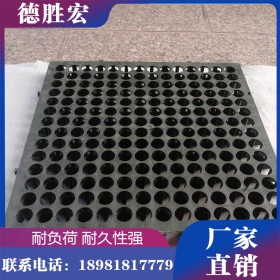 德胜宏 四川排水板厂家直销 排水板现货供应
