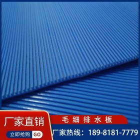 厂家供应PVC毛细排水板用于隧道排水高密度聚合材料 德胜宏品质