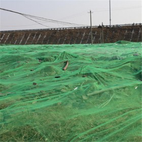 四川工地盖土网精选厂家 建筑工地盖土网 绿色盖土网 优质盖土网 聚乙烯盖土网