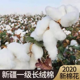 成都本地新疆棉花被一级优质长绒棉手工棉被定做纯棉花被芯被子冬被全棉