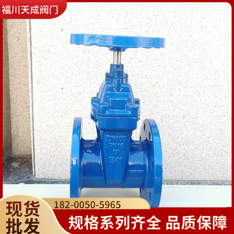 暗杆软密封闸阀Z45X-16Q给排水管道接通或截断阀门批发