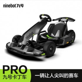 Ninebot九号卡丁车Pro 智能电动体感车改装