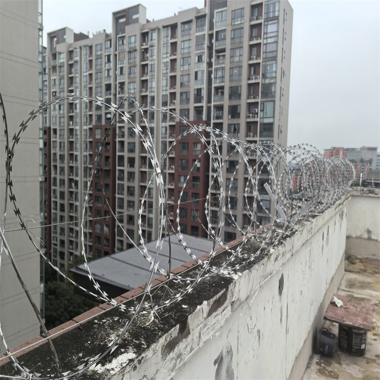 果园防护镀锌刀片刺绳 防盗倒刺铁丝网定做厂 防攀爬铁丝网