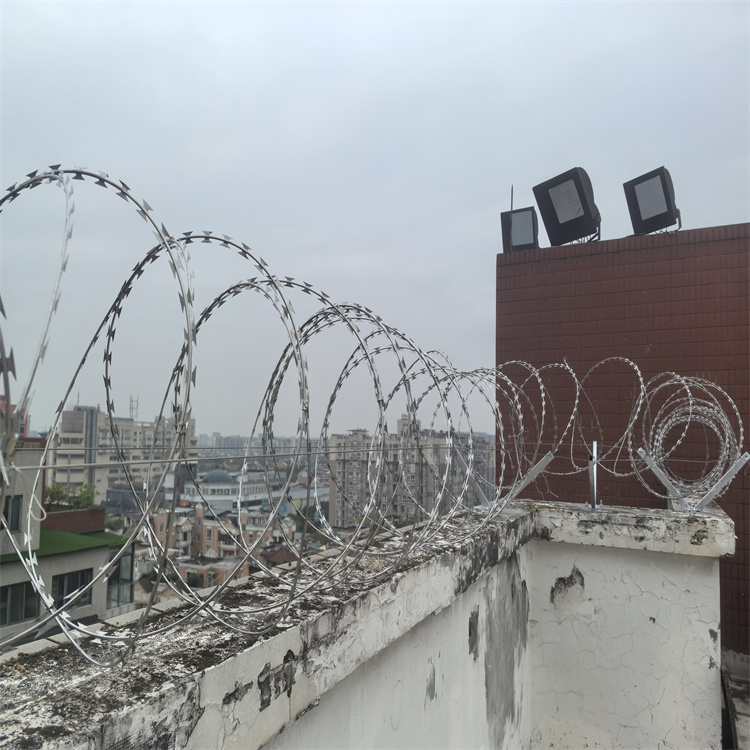 不锈钢刀片刺绳  铁丝网镀锌刺丝滚笼 围墙防爬铁蒺藜 支持定制