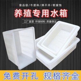 四川塑料方箱   养鱼养虾pe水箱  食品级塑料箱厂家