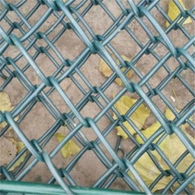 绿色体育场围网  成都羽毛球场护栏     学校操场护栏网价格