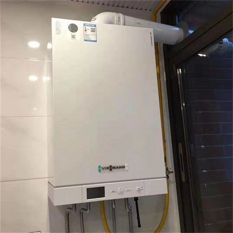 水暖壁挂炉 洗浴采暖两用炉 菲斯曼 壁挂炉供应