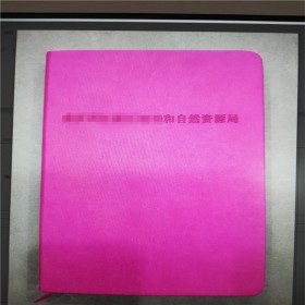 档案笔记本 客户档案政府专业工作笔记本礼品定制