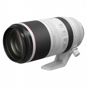 RF100-500mm F4.5-7.1 L IS USM   覆盖500mm远摄区域的5倍大变焦L级镜头商城正式发售!