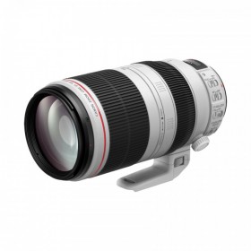 佳能 EF 100-400mm f/4.5-5.6L IS II USM 兼顾高画质与操作性的L级远摄变焦镜头