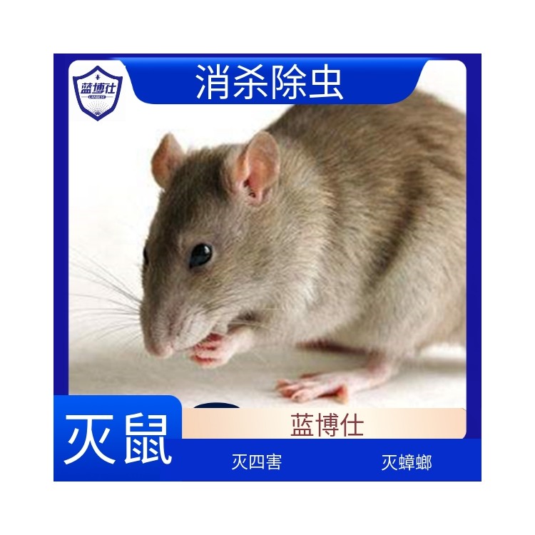 商场超市 灭鼠 除四害 环境消杀 科学防治 蓝博仕杀虫灭鼠