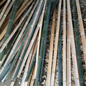 长期批发各种规格的大棚竹竿 菜架竹 竹片 竹稍 大毛竹可定制量大从优