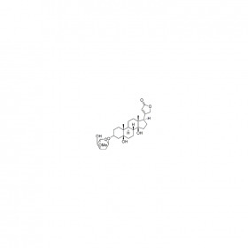 【乐美天】杠柳次苷  CAS No：32476-67-8   HPLC≥98%  20mg/支   分析标准品/对照品